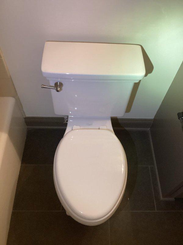 Diagnosed toilet with continuous running issue. Inspection revealed warped flapper causing water leakage and triggering constant refilling. Replaced both flapper and fill valve to restore proper operation. Tested toilet thoroughly after installation to confirm complete resolution of the running problem.