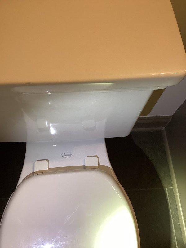 Diagnosed toilet with continuous running issue. Inspection revealed warped flapper causing water leakage and triggering constant refilling. Replaced both flapper and fill valve to restore proper operation. Tested toilet thoroughly after installation to confirm complete resolution of the running problem.