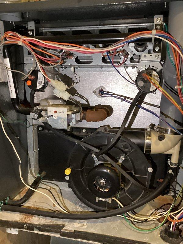 Performed routine furnace tune-up maintenance per agreement. Inspected system components and identified inducer motor showing signs of impending failure. Provided homeowner with requested estimate for replacement.