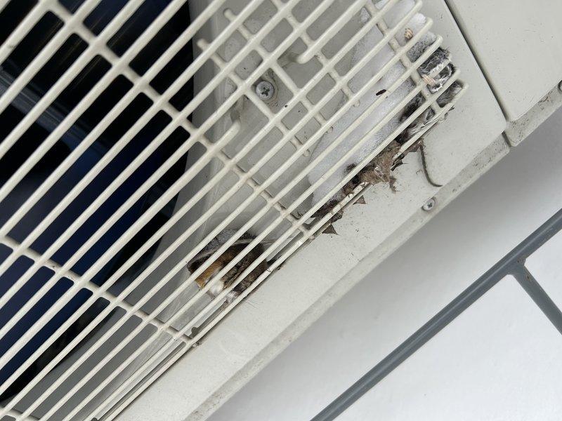 Performed comprehensive maintenance on client's mini-split HVAC system consisting of three units. Diagnosed and resolved heating issue by correcting remote control settings (one set to heat, one to auto). Completed full system service including filter cleaning and inspection of outdoor condenser unit, where mouse nesting material was removed from the condenser fan grill. Interior components and coils were inspected with no further issues found. Provided operational instructions to homeowner on proper remote control usage to prevent future heating problems.