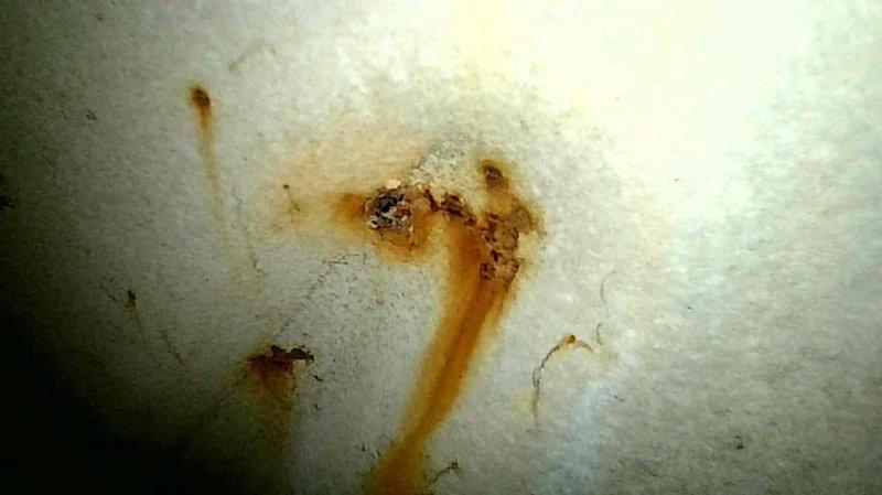 Performed routine tune-up on 15-year-old Trane furnace, confirming system is currently burning safely. Noted concerning condition of heat exchanger requiring monitoring and loud inducer motor posing reliability risk; documented visible water damage near system. Recommended customer obtain quotation for replacement system due to age and condition issues.