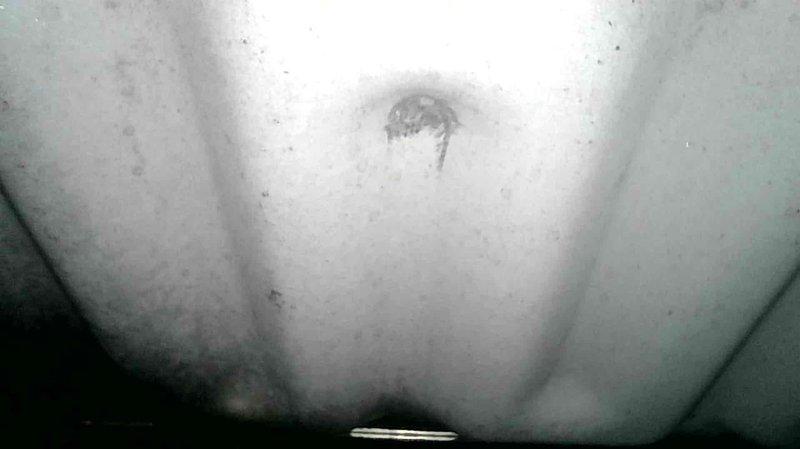 Completed seasonal maintenance on a 5-year-old Bryant furnace. All components inspected and verified to be functioning properly. Homeowner had recently replaced filter prior to service. No issues identified during the tune-up inspection.