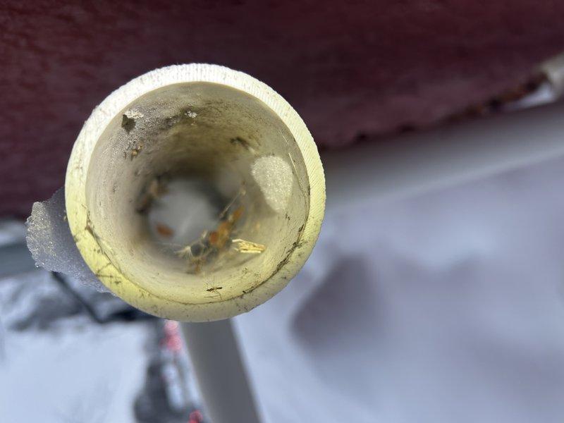 Responded to service call for HTP boiler shutdown issue. Diagnosed E29 error code indicating faulty pressure switch. Found pressure switch incorrectly remaining closed when inducer motor not running (should be normally open). Reset boiler for temporary operation and cleaned spiderwebs from intake vent. Recommended replacement of pressure switch for permanent resolution.