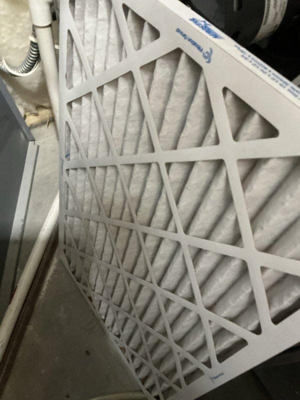 Responded to no heat call for furnace. Upon arrival, customer reported system had resumed normal operation after initial complaint. Performed system inspection and multiple test cycles with all startup sequences functioning properly. Observed clean filter and normal electrical components. No current issues found; system operating within specifications. Noted homeowner plans to replace thermostat as preventative measure.