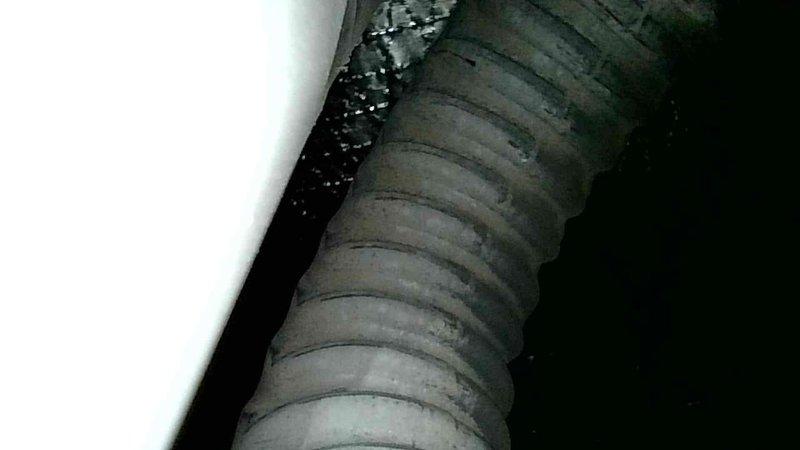 Diagnosed furnace issue where unit was igniting but not blowing air through vents. Investigation revealed control board failure preventing power from reaching blower motor. As a temporary solution until homeowner decides on repair or replacement options, rewired fan to run continuously to provide some heat during cold weather. Recommended control board replacement or potential furnace upgrade. Service advisor scheduled to provide replacement system pricing options.