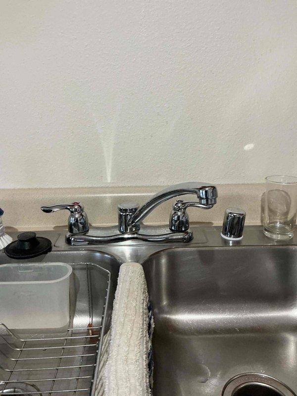 Successfully installed new Moen kitchen faucet with pull-down sprayer in stainless steel sink. Replaced existing dual-handle faucet with high-arc model featuring spot-resistant chrome finish and manual operation.