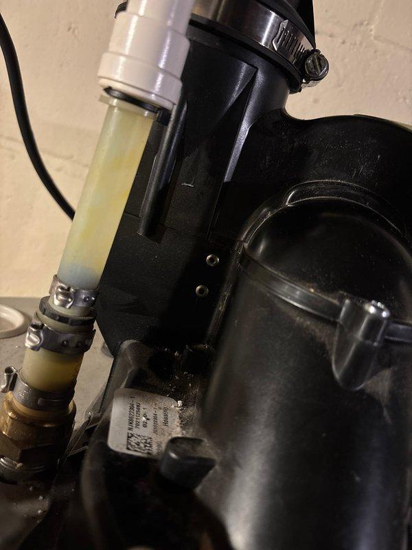 Diagnosed Bradford White Defender water heater with no hot water issue. Discovered pressure switch code error and ice-cold blower motor with ice buildup around ports, similar to previous year's problem. Shortened exhaust vent closer to house and installed 90-degree elbow with protective screen. Provided customer with replacement options for pressure switch, blower motor, and complete water heater unit.