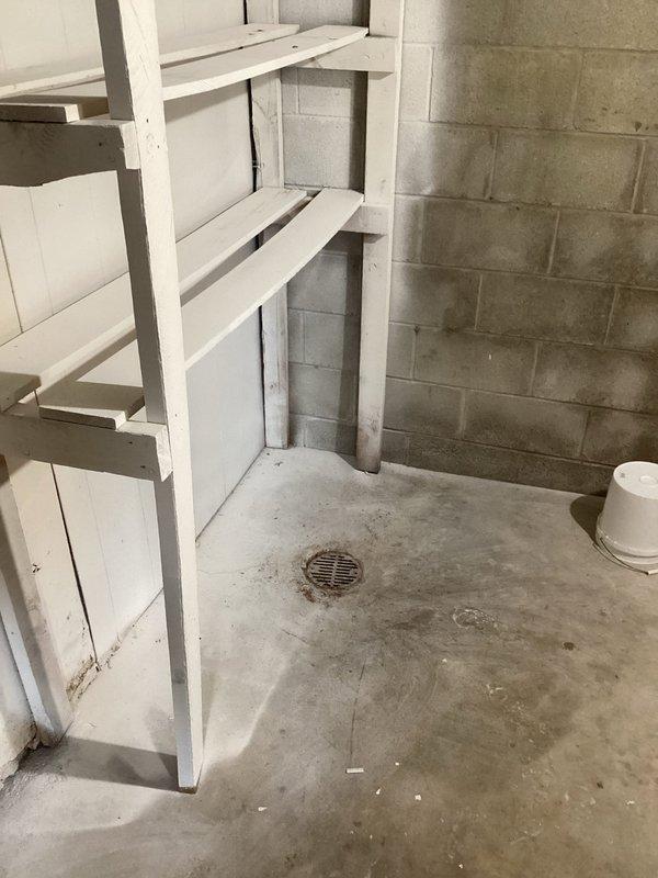 Performed initial site assessment for potential bathroom installation in unfinished basement. Inspected existing plumbing rough-ins and floor drain. Customer requires new toilet and sink installation; provided consultation on fixture options and installation requirements based on current basement conditions.