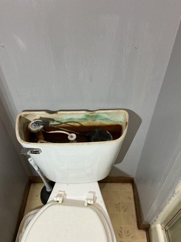 Conducted comprehensive plumbing inspection for new Family Rewards customer, documenting significant issues including severe mineral buildup and discoloration in toilet tank components requiring service. Evaluated HVAC/plumbing systems in basement including Daikin furnace unit, water heater, and water filtration system, with multiple items identified requiring attention as detailed in provided checklist and estimates.