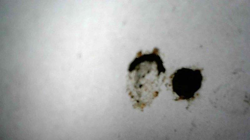 Responded to a no-heat call for a 6-year-old furnace. Diagnosed rolled out switch activation and discovered heat exchanger with multiple perforations as evidenced by visible holes. Tagged unit as unsafe, shut off gas supply, and recommended against operation. Informed customer of need for heat exchanger replacement and arranged for advisor consultation regarding potential furnace replacement options.