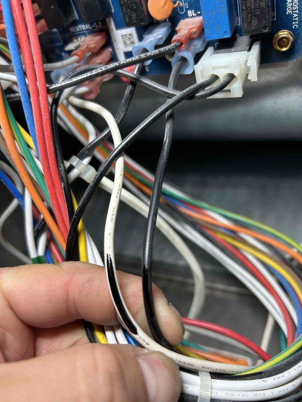 Diagnosed no heat issue in approximately 5-6 year old furnace. Investigation revealed faulty control board with no 120VAC present at the motor. Confirmed blower motor could spin freely when manually rotated. Replaced defective control board to restore proper system operation and provided customer with rewards program information.