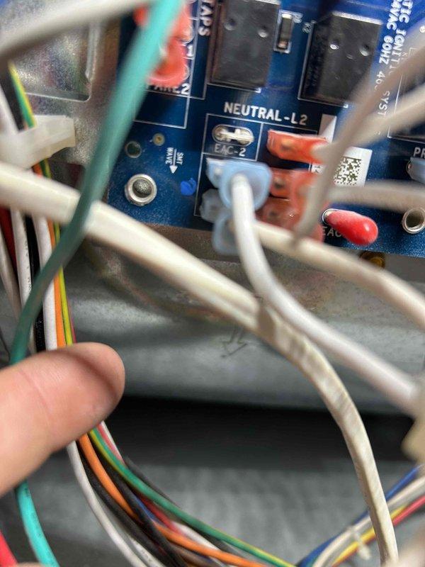 Diagnosed no heat issue in approximately 5-6 year old furnace. Investigation revealed faulty control board with no 120VAC present at the motor. Confirmed blower motor could spin freely when manually rotated. Replaced defective control board to restore proper system operation and provided customer with rewards program information.