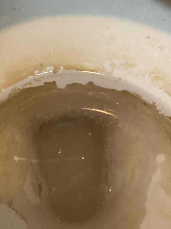 Responded to service call for toilet with persistent clogging issues since installation by previous contractor. Inspected toilet bowl revealing significant mineral buildup and scaling affecting water flow. Performed thorough assessment and provided customer with options including replacement recommendation due to design flaws causing chronic slow flushing performance.