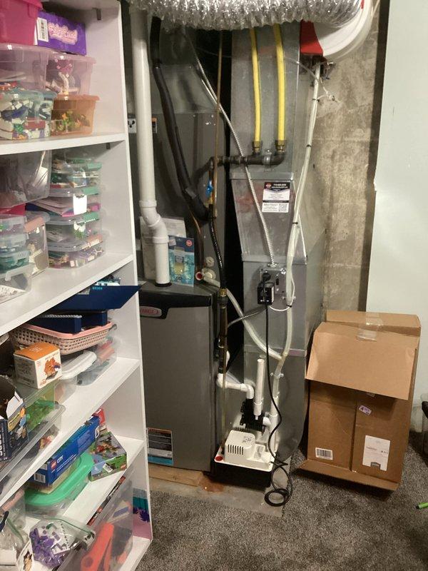 Performed annual furnace tune-up on 1-year-old unit. Inspected heat exchanger with no compromises found, tested electrical components (all within specification), verified clear routine lines and proper condensate drainage. Humidifier pad was dirty with damper closed; recommended replacement pad to customer. System operated correctly with 75° temperature rise during 15-minute test run. Confirmed proper gas pressures and verified venting system integrity.