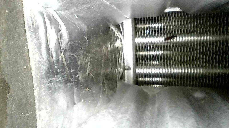 Performed routine furnace tune-up on 10-year-old residential system. Cleaned severely corroded flame sensor, inspected heat exchanger for integrity, flushed condensate trap, and replaced dirty air filter. All electrical components were checked and verified proper system operation with 55° temperature rise. System is functioning correctly with no issues identified.