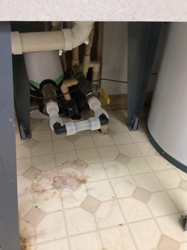 Responded to plumbing service call for multiple issues: repaired leaking CPVC fitting at meter, replaced damaged dishwasher drain hose that was causing under-sink leakage, and inspected garbage disposal system. Customer was informed about recommended dishwasher replacement.