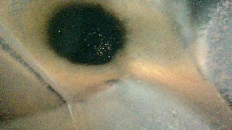 Performed routine maintenance on a 4-5 year old LP furnace in mobile home. Conducted comprehensive inspection including heat exchanger evaluation, operational testing of all components, and standard tune-up procedures. All systems functioning properly with no defects or issues identified.