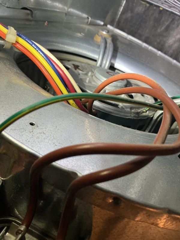 Performed comprehensive maintenance on 17-year-old Carrier furnace. Inspection revealed previous component replacements including inducer motor and potentially the heat exchanger. System electrical connections were examined and verified to be in working order. Unit is currently functioning properly; recommended comfort advisor assessment due to system age.