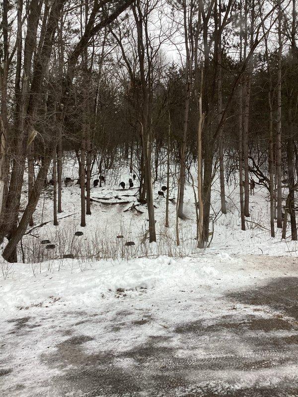 Responded to service request for a leaking water filter system. Cut out the defective filter, installed new ball valves, and completely re-piped the filter assembly to ensure proper function and prevent future leaks. Work completed at client's residence with water treatment system installed adjacent to pressure tank and water heater.