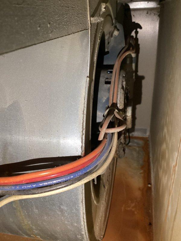 Performed diagnostic service on 24-year-old furnace exhibiting blower motor issues. Identified grinding noise from blower motor during operation and intermittent startup failure. Inspected electrical connections at junction box. Informed customer that system requires either complete furnace replacement or motor replacement to restore reliable heating function.