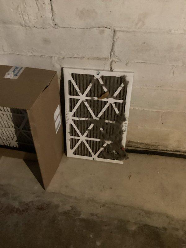 Responded to no-heat call on previously installed furnace. Diagnosed issue as drain line improperly positioned in sink above furnace level, causing water backup into inducer motor and system lockout. Corrected by repositioning condensate drain line into floor drain. Verified proper system operation after repair.