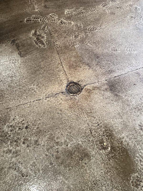 Responded to service call for clogged floor drain in garage area. Upon inspection, identified water backing up around drain area with evidence of moisture damage to basement ceiling below. Determined discharge line was frozen due to winter conditions. Client referred to professional with jetting equipment for proper clearing of the obstruction.