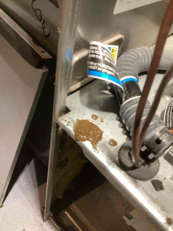 Diagnosed 10+ year old natural gas furnace with error code 31. Conducted comprehensive inspection of flame sensor, ignitor, safety components, and condensate systems. Identified leaks in secondary heat exchanger requiring replacement. Temporarily restored operation and scheduled comfort advisor for heat exchanger replacement estimate.