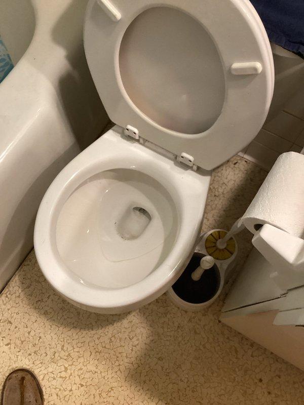 Responded to emergency service call for sole household toilet clogged with blockage approximately 5 feet down waste line. Initial plunging attempts unsuccessful; successfully cleared obstruction using toilet auger. Additionally addressed secondary issue of shower backup, which required drain clearing procedures to restore proper drainage function in both fixtures.