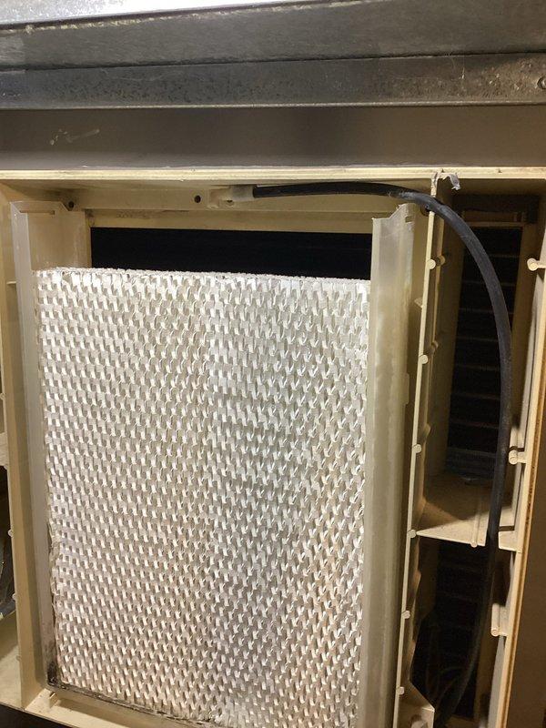 Performed annual furnace maintenance on 3-year-old FRM unit. All components operating within manufacturer specifications. Identified non-functioning humidifier issue - unit not wired to furnace and missing humidistat display. Documented requirements for potential repair (new humidistat installation and wiring) and provided customer with estimates for both repair option and complete humidifier replacement.