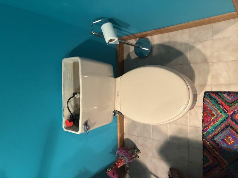 Responded to service call for toilet issues. Diagnosed leaking flapper causing water noise. Performed complete toilet rebuild service, which resolved the continuous water flow problem. Also addressed rusty supply valve protruding from wall and cleared clogged bathroom sink drain to restore proper drainage.