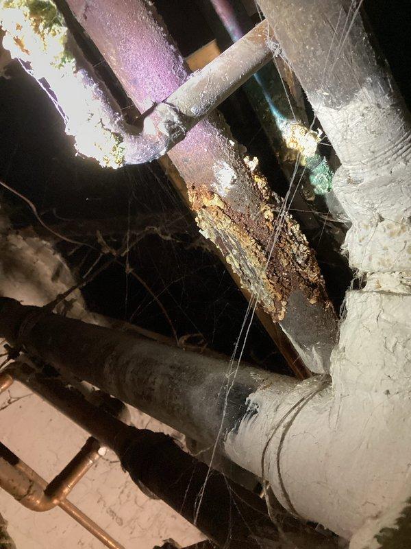 Responded to service call for radiator heating issue on upper floor. Diagnosed air in radiators and low boiler pressure (10 psi). Identified seized backflow preventer that was leaking when attempting to add water. Also discovered non-code compliant gas shutoff valve with active leak causing gas odor near boiler. Successfully filled system with water, bled radiators, and restored pressure to 19 psi, resolving heating complaint. Recommended replacement of backflow preventer and gas shutoff valve.