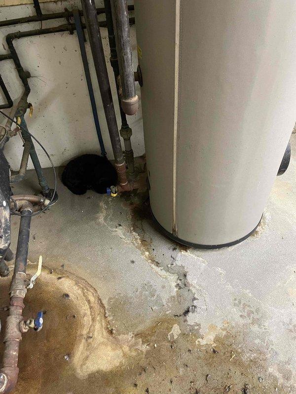 Responded to service call for 3-year-old commercial boiler system with reported non-operation. Upon arrival, boiler was functioning and maintaining temperature. Performed preventative maintenance including disassembly and cleaning of basic components. System testing confirmed proper ignition and operation through multiple cycles without issue.