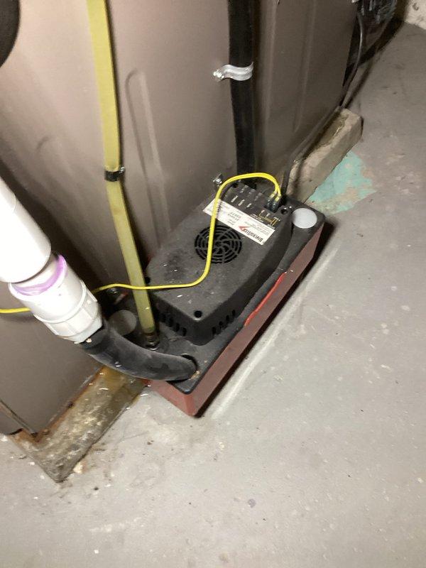 Performed a courtesy furnace tune-up following customer's water heater purchase. Conducted comprehensive inspection including heat exchanger camera inspection, venting system evaluation, and operational component checks (burners, blower, inducer, pressure switches, flame sensor, igniter). Verified proper gas pressures and combustion air. System cycled on high/low settings, confirming safe and normal operation.