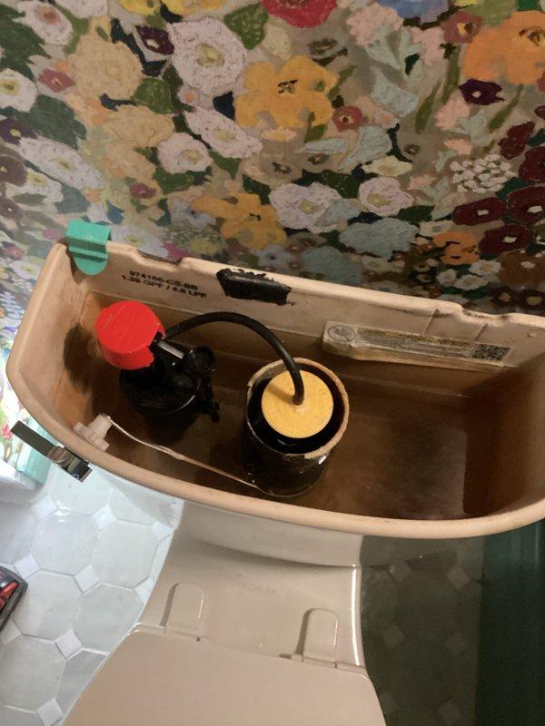 Replaced toilet flushing mechanism in master bathroom due to non-functioning flusher. Corrected squealing noise in lower level toilet and addressed leakage issues by installing new tank internals. All toilets now operating properly with no leaks detected during final testing.