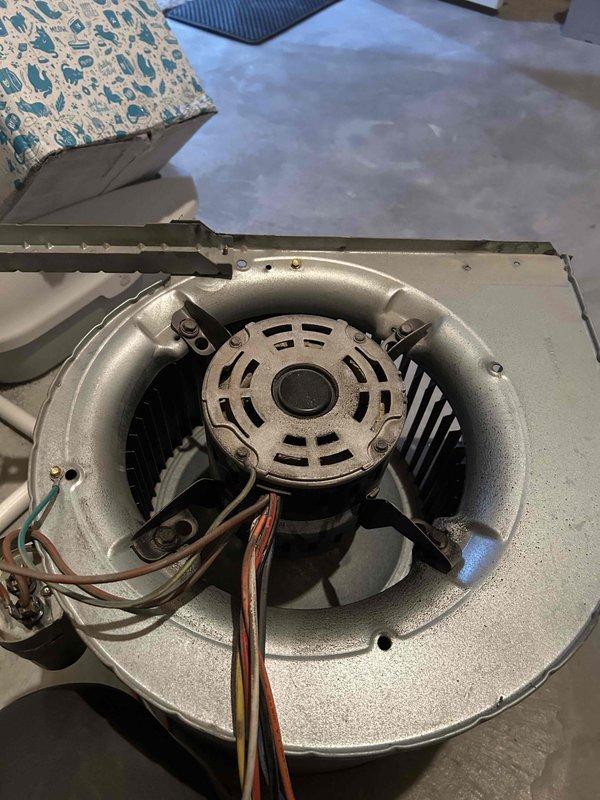 Responded to no heat call for 11-year-old natural gas furnace with error code 13. Diagnostic inspection revealed blower motor struggling to start and severely dirty blower wheel. Identified direct drop motor replacement needed for proper system operation. Documented condition with photos of blower assembly and electrical connections. Customer was presented with repair options and will follow up after reviewing emailed quote.