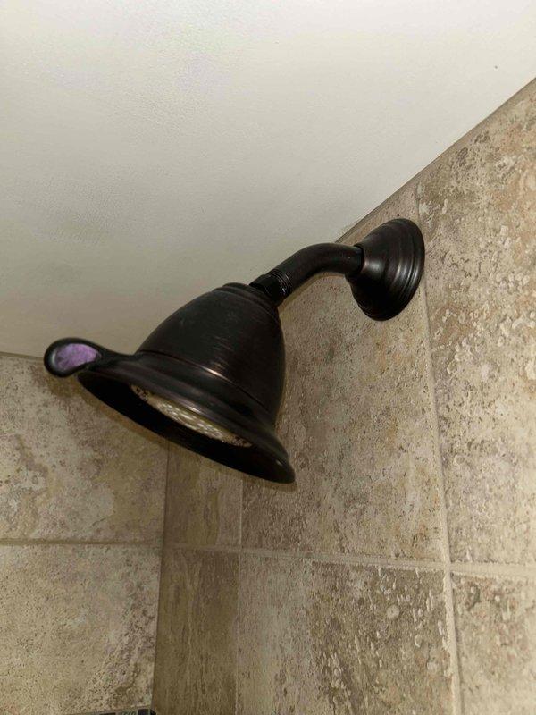 Conducted site assessment for replacing existing wall-mounted shower head with customer-provided handheld unit. Inspected current installation, which features a dark bronze bell-shaped shower head with adjustable spray pattern mounted on curved arm against ceramic tile. Customer will supply new fixture; scheduled return installation appointment for Thursday.