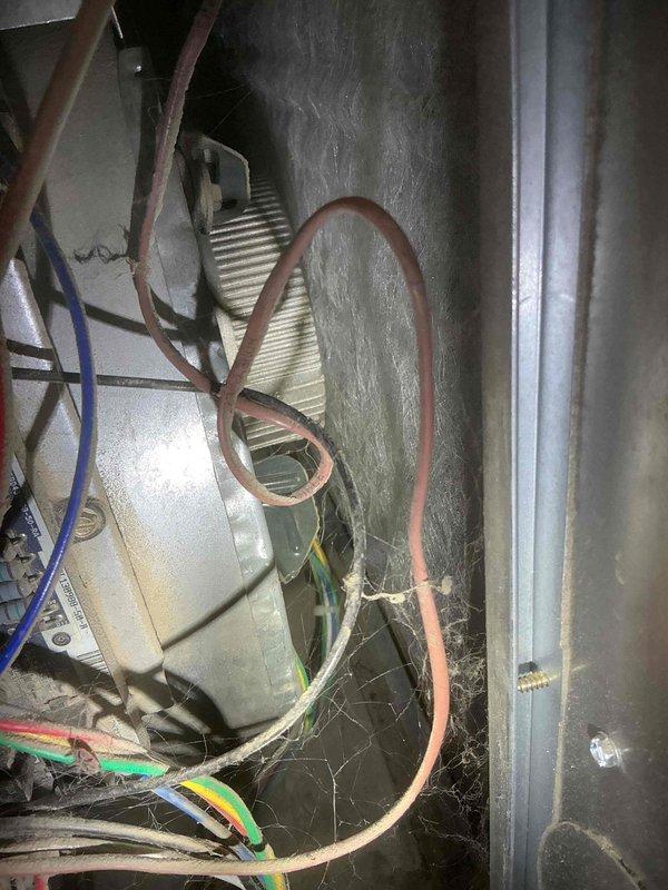 Performed scheduled furnace tune-up on 10-year-old unit. Addressed significant dust accumulation throughout system, particularly on internal components and electrical connections where cobwebs were present. Completed comprehensive maintenance including blower cleaning, circuit board replacement, and ignition system replacement. System functioning properly after service with no operational issues detected.