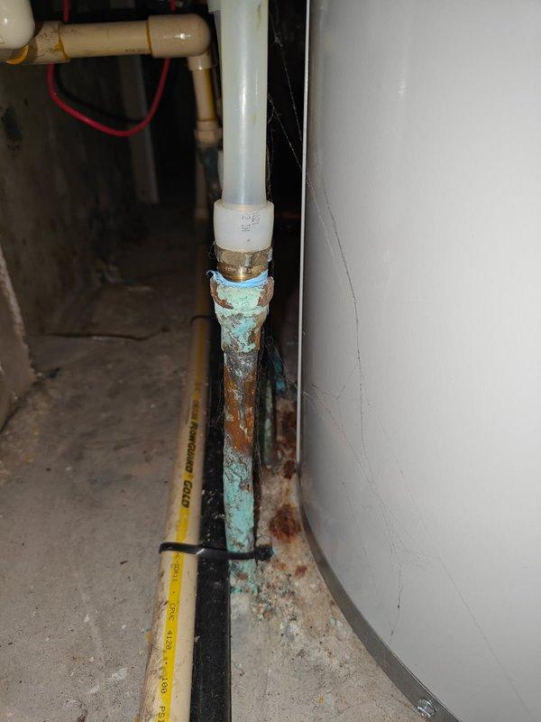 Inspected customer's water heater system and identified significant copper pipe corrosion at connection points, with visible verdigris formation indicating prolonged moisture exposure. Documented mold growth on mechanical room wall caused by inadequate ventilation in the small space. Recommended installation of a recirculating pump and implementation of improved ventilation solutions including a dehumidifier, fan, and proper pipe insulation to prevent further deterioration.