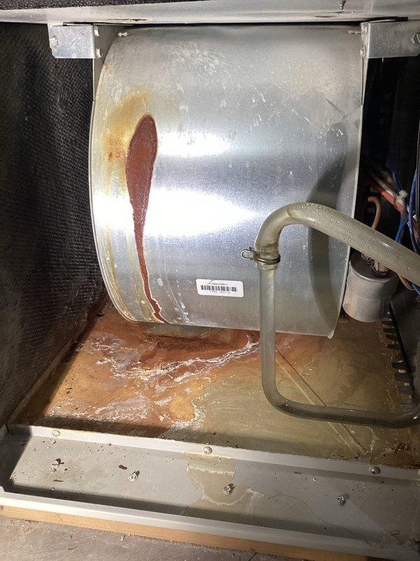 Inspected 10+ year old furnace after customer reported smoke and CO alarms activation. Found heat exchanger with concerning areas but no compromises, severely rotted inducer seal that leaked through the upper cabinet onto blower, blower wheel with 1/4" play, out-of-spec capacitor, and calcification buildup on secondary heat exchanger. System operated normally during 20-minute test run. Recommended customer obtain estimates for motor replacements, heat exchanger service, and possible unit replacement.