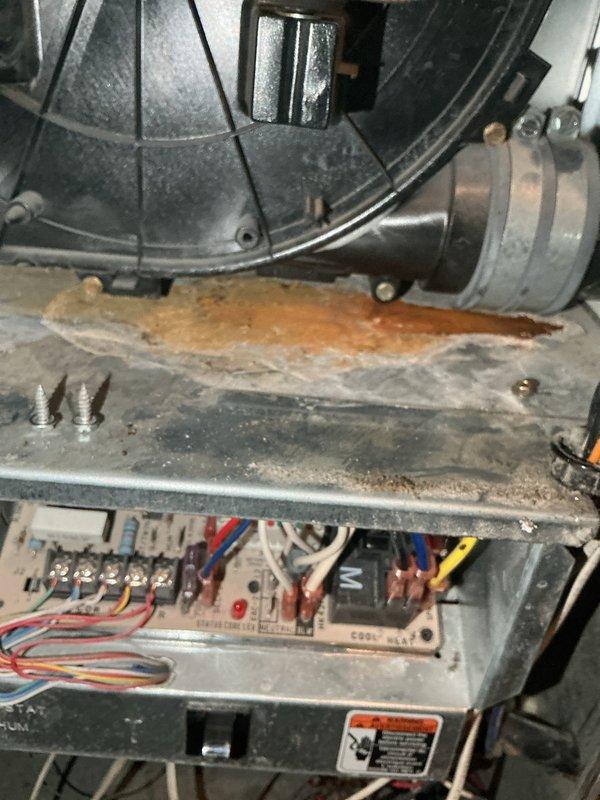 Diagnosed intermittent heating failure in 17-year-old furnace caused by pressure switch opening issues. Visual inspection revealed multiple critical problems: likely plugged secondary heat exchanger, oil leakage from blower motor, and leaking condensate collector box. Scheduled replacement estimate due to age and multiple component failures.