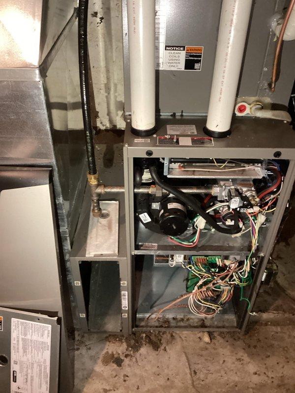 Performed routine maintenance on gas furnace including cleaning, flame sensor inspection, and condensate system check. Examined heat exchanger for defects and replaced MERV 16 filter. Provided customer with estimate for Wi-Fi thermostat upgrade.