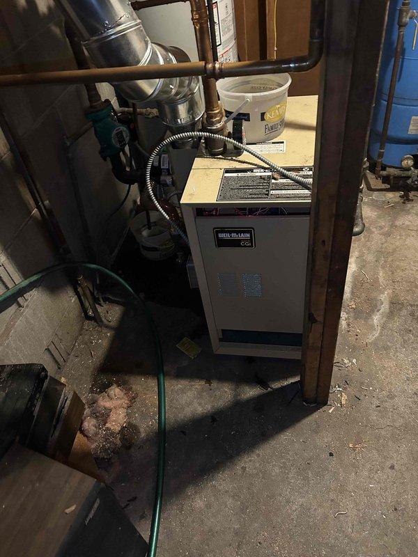 Diagnosed no heat issue on aging Weil-McLain boiler that was repeatedly shutting down and requiring manual resets. Determined system was suffering from air lock condition and discovered ruptured expansion tank. Replaced expansion tank and abandoned frozen basement loop to restore proper operation.