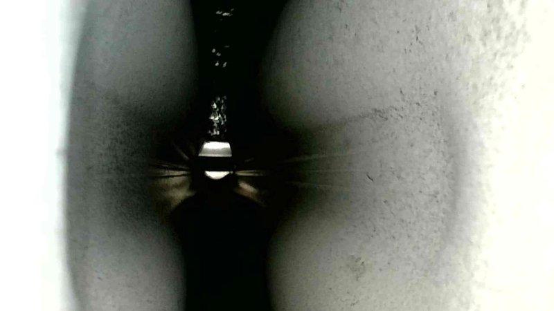 Responded to a no-heat call for a recently installed furnace that was running but blowing cold air with a flashing red light. Discovered the rollout switch had tripped; reset the switch which restored proper operation. Inspected heat exchanger thoroughly and found it in good condition. Determined the issue was likely a one-time occurrence as the system is now functioning normally with no further intervention required.