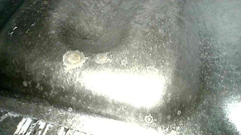 Performed annual maintenance on Tempstar furnace of undetermined age. Inspected and tested all components with furnace operating properly for 20 minutes. System is heating correctly with no issues identified.