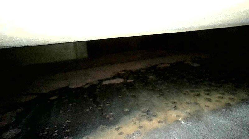 Performed $49 furnace tune-up maintenance on aging HVAC system. Inspected unit showing signs of condensation on ductwork and possible moisture issues in the crawlspace. Discussed replacement options with homeowner Mariah, who acknowledged but declined at this time.