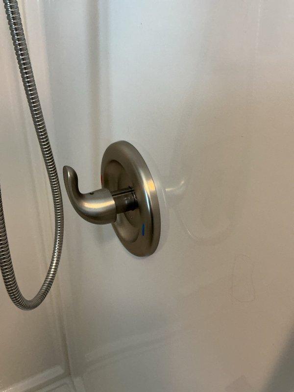 Replaced customer-supplied shower cartridge to resolve issue where only hot water was dispensing from shower fixture. Removed defective cartridge and installed new one, successfully restoring both hot and cold water flow to the shower.