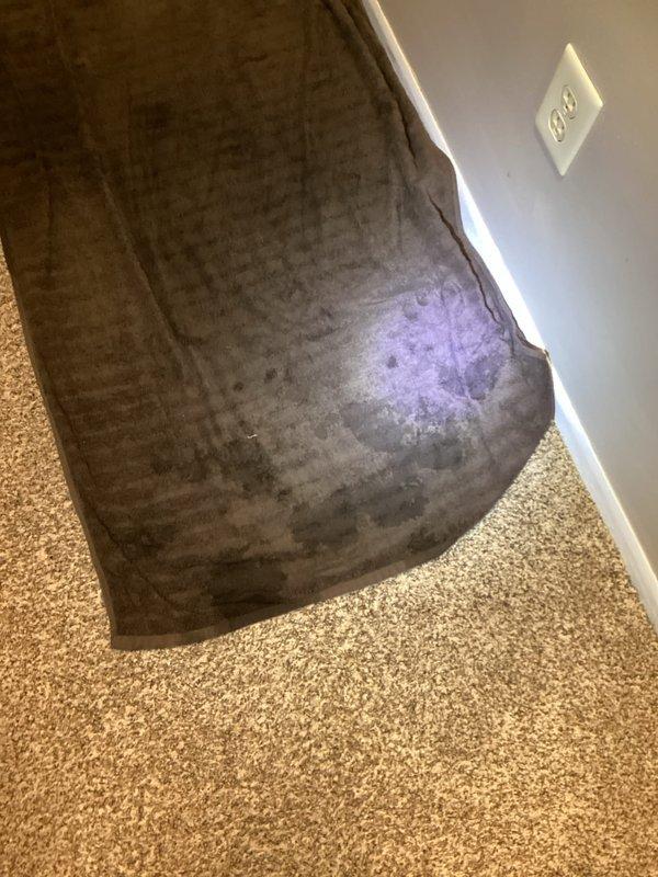 Responded to water leak complaint around newly installed furnace. Upon inspection, found no active leaks from furnace (80%) or humidifier. Discovered significant mold growth under carpet near installation area, likely from previous moisture exposure. Cycled water softener with homeowner to determine if this was potential source of intermittent leakage.