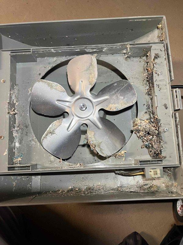 Responded to no heat complaint involving 2010 Trane furnace with water leakage. Inspection revealed severely neglected humidifier with deteriorated pad (unchanged for approximately 6 years) causing water leakage. Additionally found extremely dirty blower assembly with damaged filter that had disintegrated due to moisture exposure. Verified humidifier functionality and advised customer to replace humidifier pad.