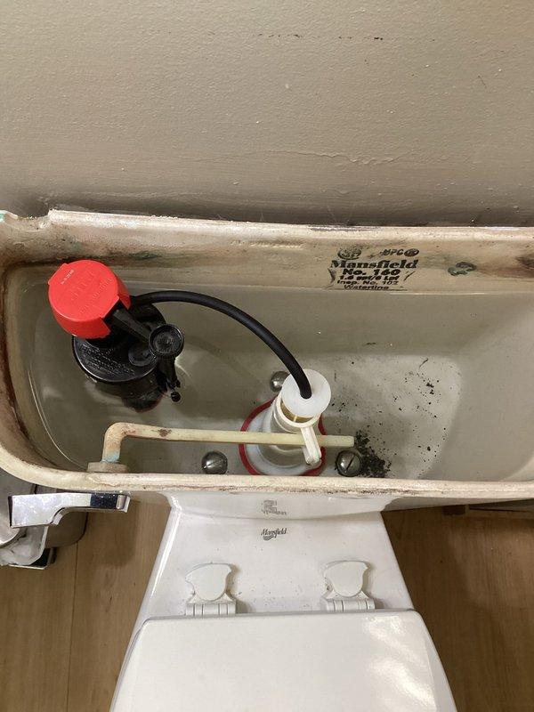 Diagnosed and repaired two Mansfield toilets that were continuously cycling and running. Replaced worn fill valves and flush seals in both units to resolve water leakage issues. Installed new internal components ("guts") in both toilets, successfully restoring proper flushing and filling operation.