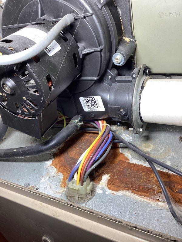 Performed furnace tune-up on aging FRP unit, discovering multiple issues including water leakage in upper cabinet, disconnected condensate hose, failing inducer motor capacitor (2.8μF of 4μF rated), and blower motor with excessive play and underperforming capacitor (3.6μF of 7.5μF rated). Heat exchanger inspection showed no compromises; system operated within parameters with 65° temperature rise. Recommended filter replacement and discussed estimates for both motor replacements as well as complete system upgrade options due to unit condition and age.